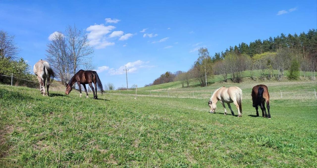 Domek Zielenina Mierzeszyn Экстерьер фото