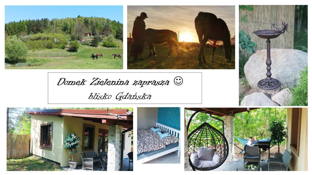 Domek Zielenina Mierzeszyn Экстерьер фото